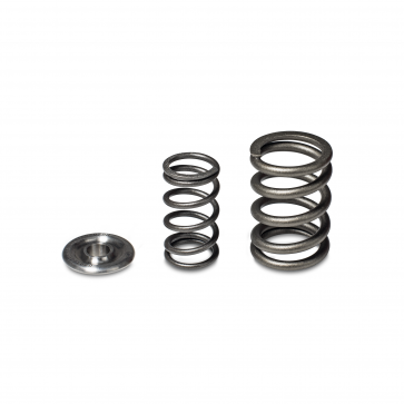 Skunk2 Alpha Valve Spring & Ti Retainer Kit - H Series