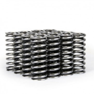 Skunk2 Alpha Valve Spring Set - SOHC VTEC