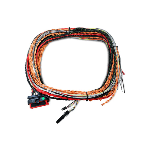 FuelTech FTSpark-1 Harness