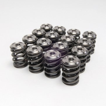 Skunk2 Alpha Valve Spring & Ti Retainer Kit - K Series