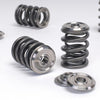 Skunk2 Alpha Valve Spring & Ti Retainer Kit - K Series