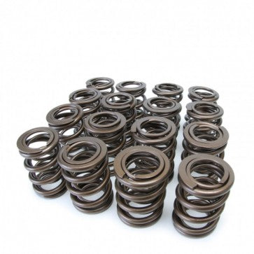 Skunk2 Alpha Valve Spring Set - B VTEC