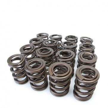 Skunk2 Alpha Valve Spring Set - H22 / F20B