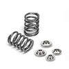 Supertech Valve Spring Set - D-Series